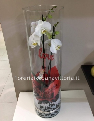 Orchidea in vaso in vetro trasparente – COMETA FEDERFIORI
