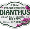 Famà Nunzia Dianthus
